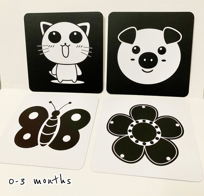Blooming Wisdom Montessori High Contrast Visual Cards (0-3 Months)