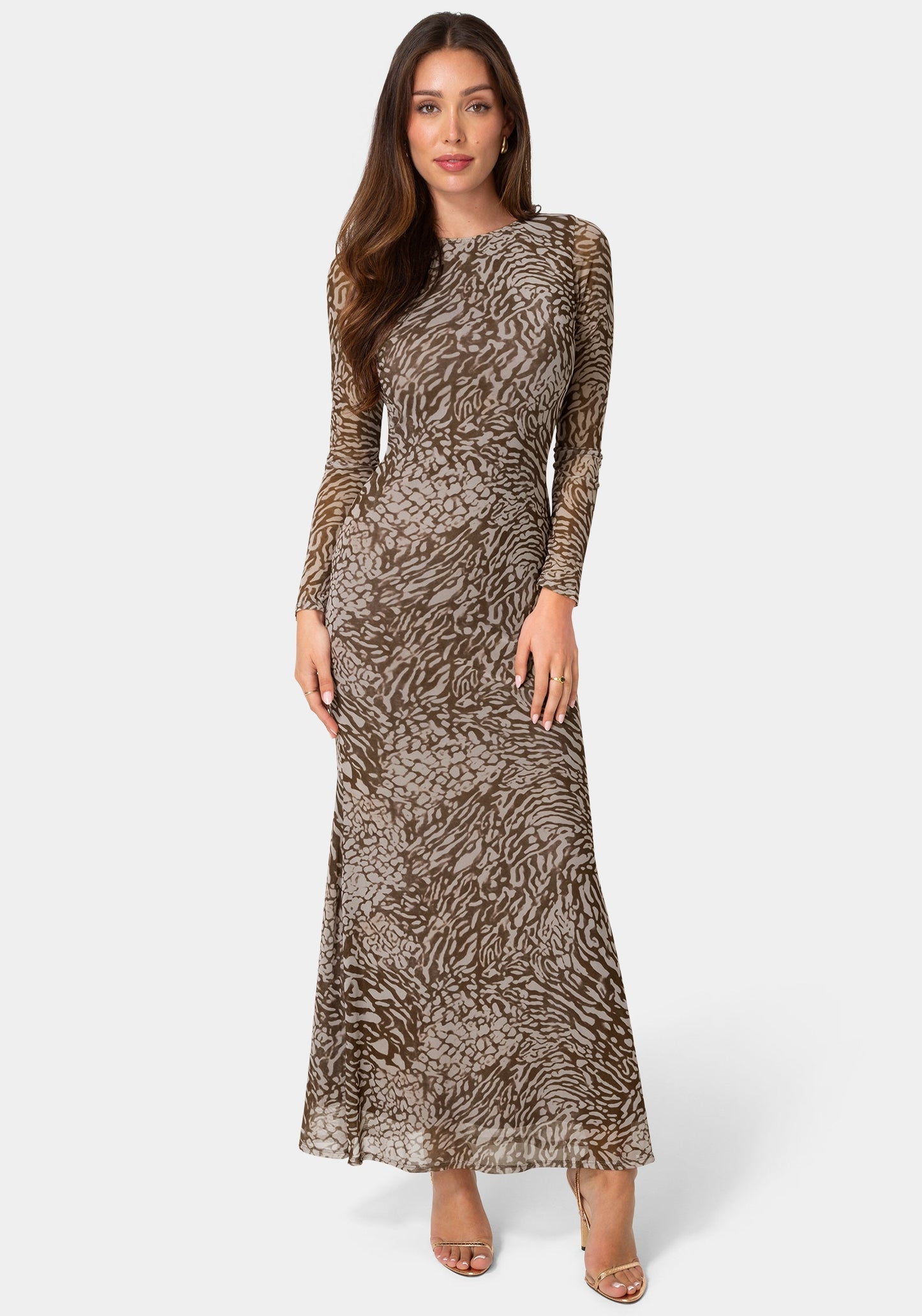 Long Sleeve Mesh Maxi Dress