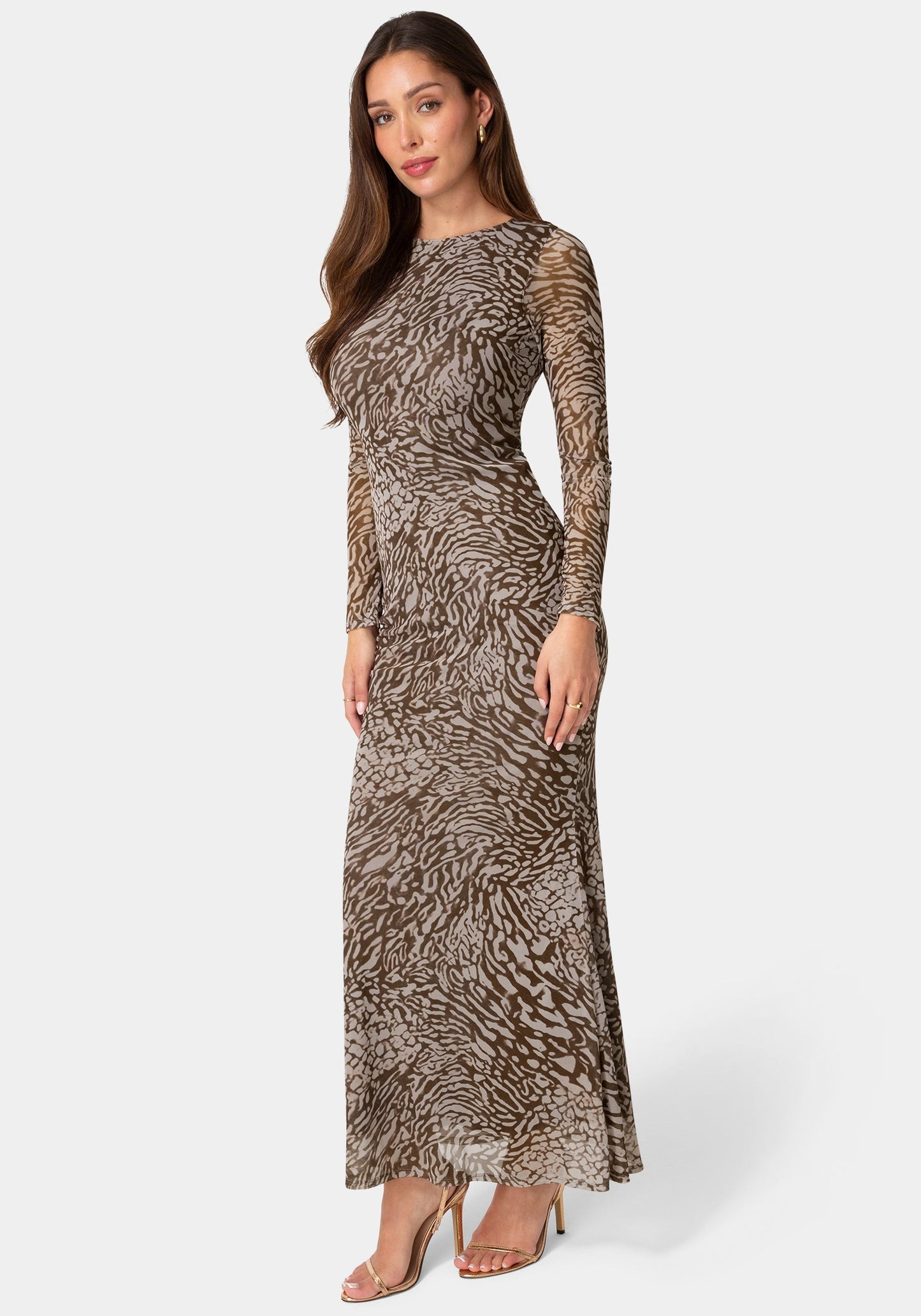 Long Sleeve Mesh Maxi Dress