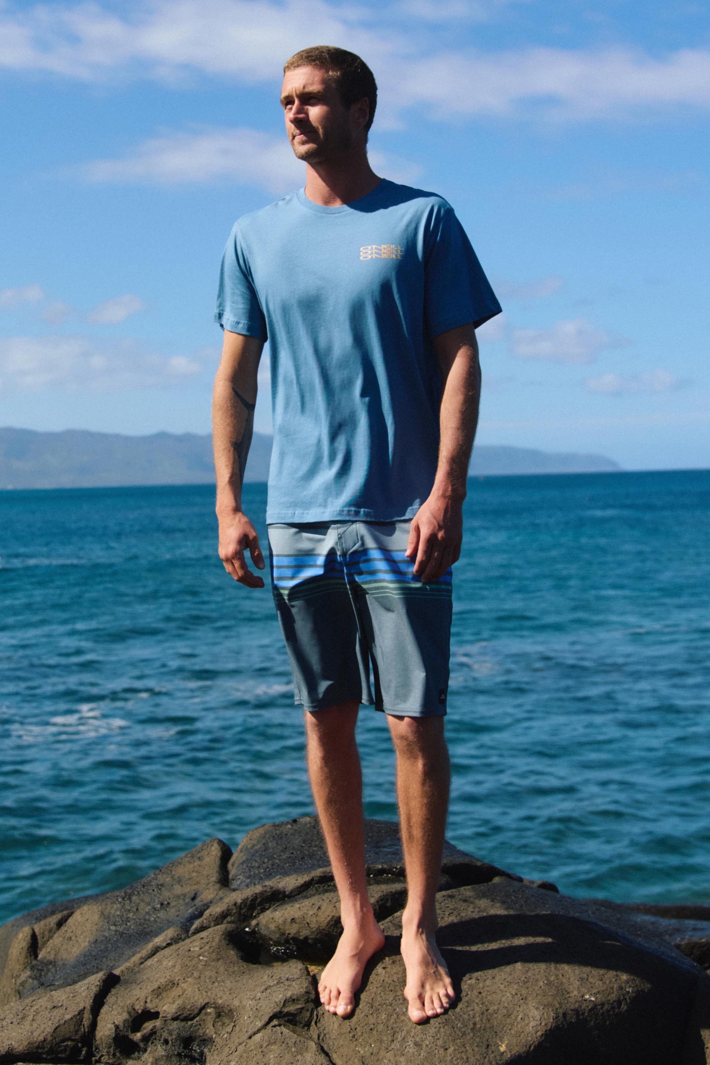 Hyperfreak Heat Stripe 20" Boardshorts