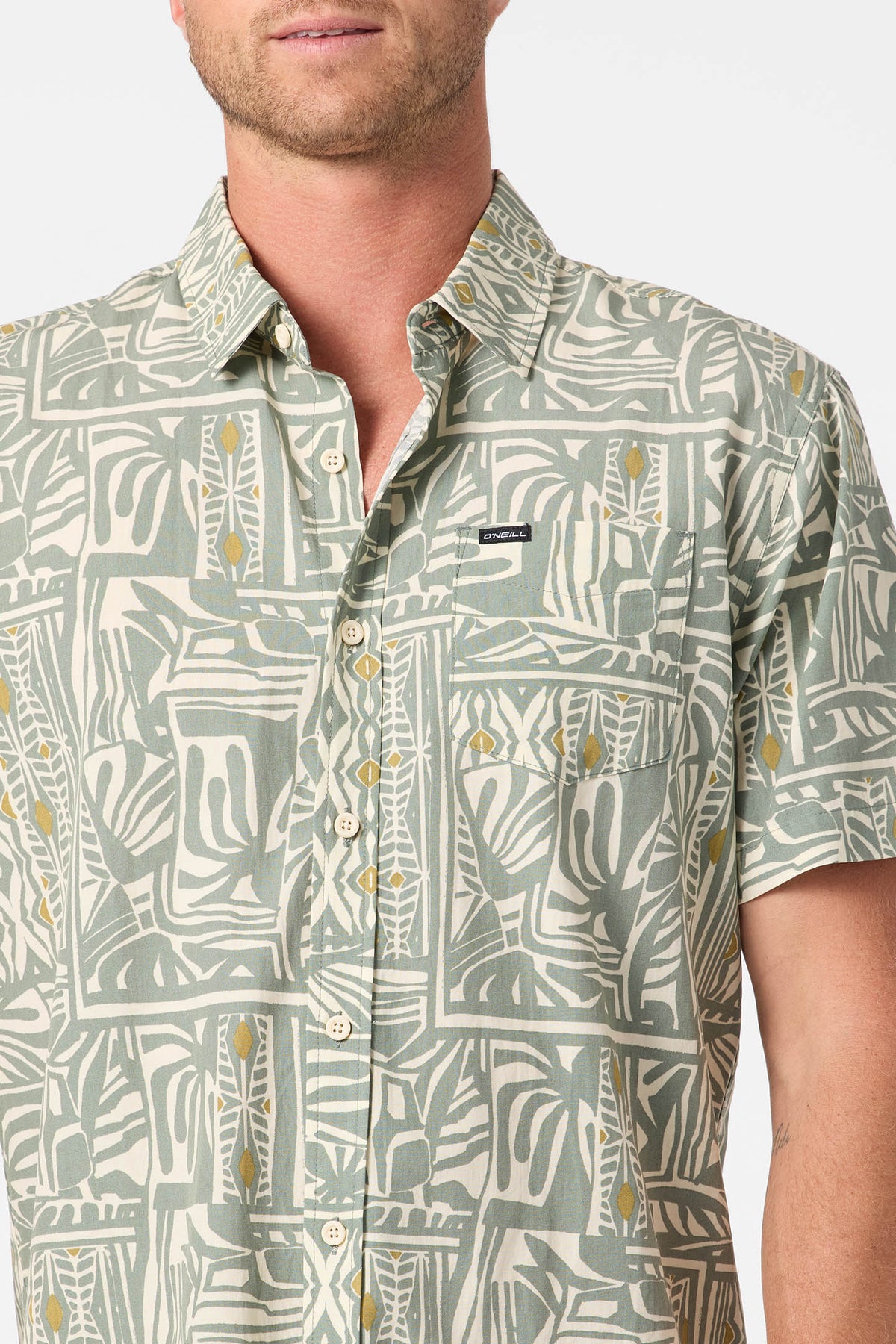Oasis Standard Fit Shirt