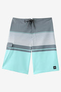 Lennox Stripe 21" Boardshorts