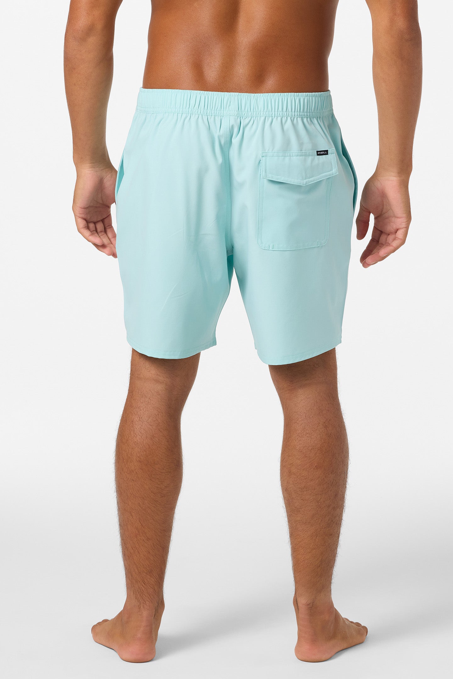 Lennox Hermosa Solid Volley 17" Swim Trunks