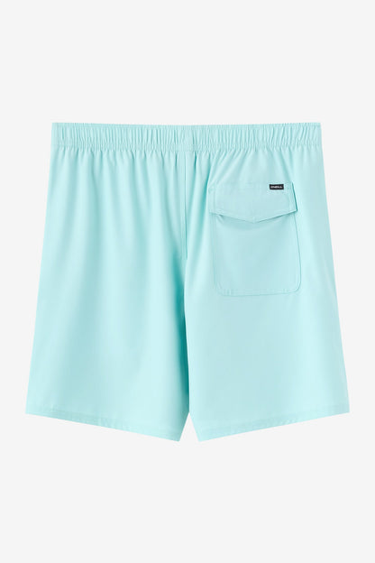 Lennox Hermosa Solid Volley 17" Swim Trunks