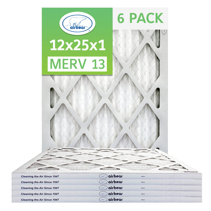 Air Bear 12x25x1 Pleated Air Filter