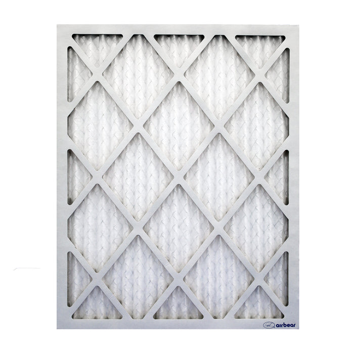 Air Bear 20x25x1 Air Filter
