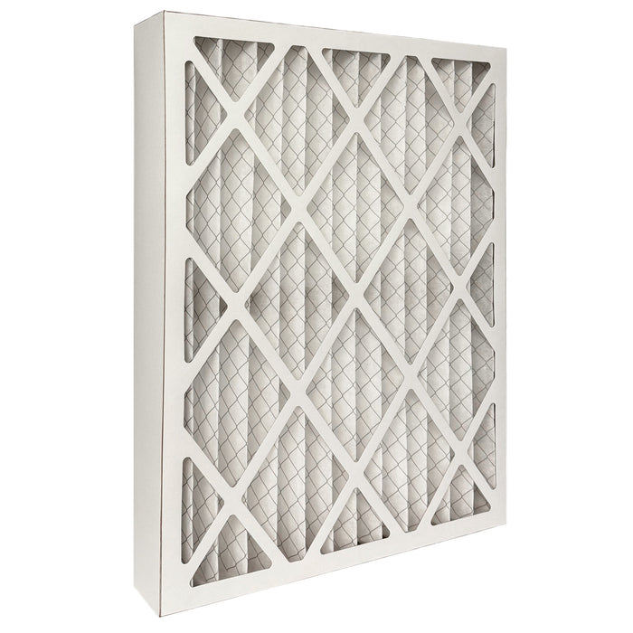 Air Bear 20x25x4 Pleated Air Filter