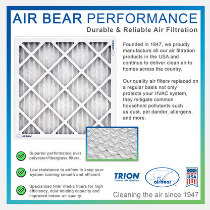 Air Bear 20x30x1 Pleated Air Filter