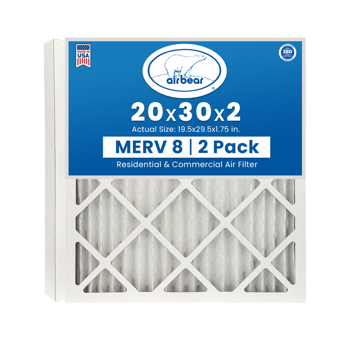 Air Bear 20x30x2 Air Filter