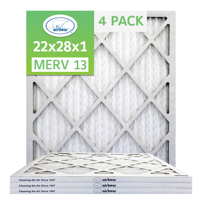 Air Bear 22x28x1 Pleated Air Filter