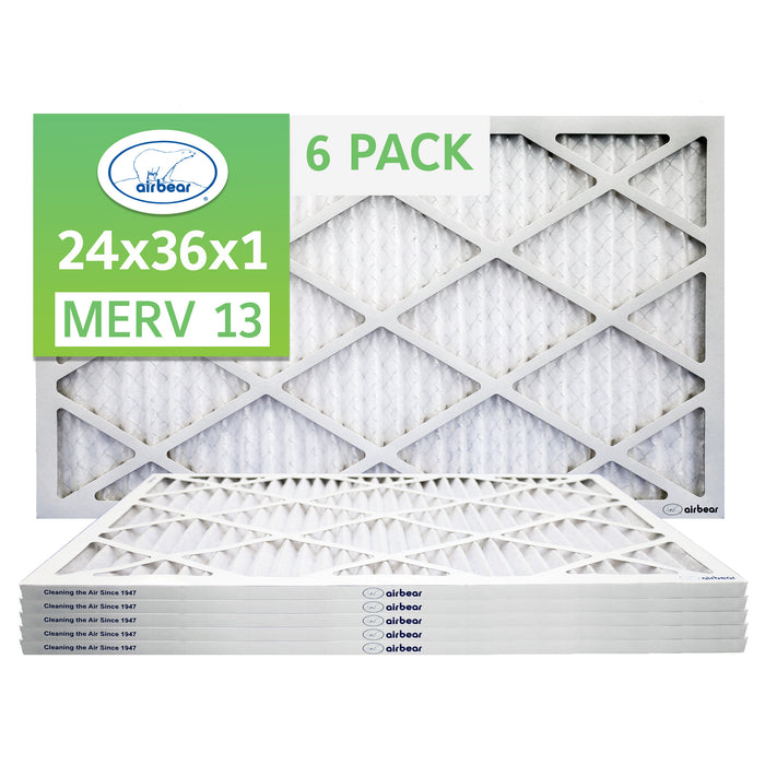 Air Bear 24x36x1 Pleated Air Filter