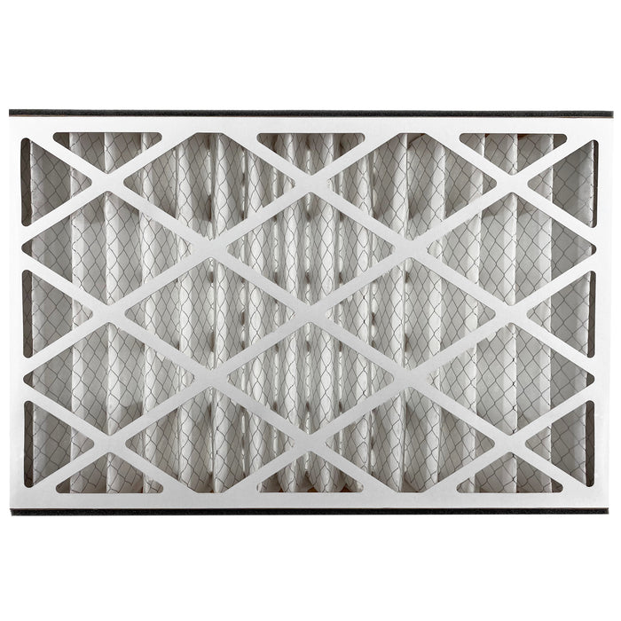 Air Bear Cub Filter Back