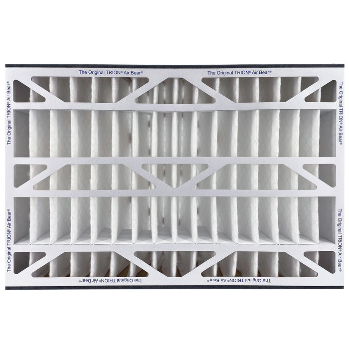 Air Bear Cub Filter Front