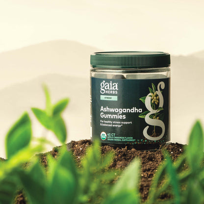 Gaia Herbs Ashwagandha Gummies 45 count bottle on a natural background with plants.