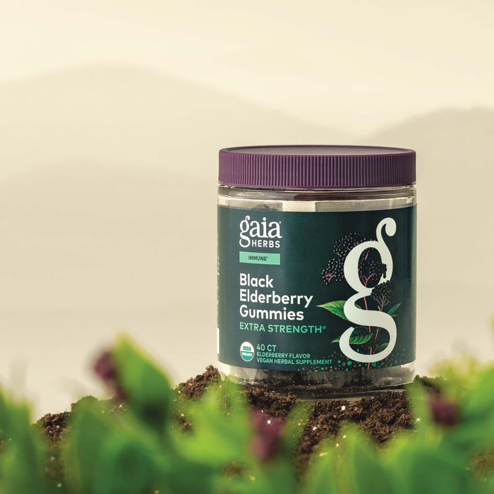 Gaia Herbs Black Elderberry Gummies Extra Strength 40 count bottle on a natural background