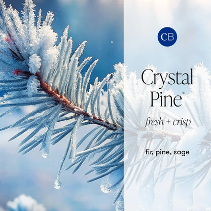 CAPRI BLUE - Crystal Pine Glimmer Hand Wash, 11.8 oz
