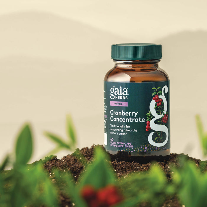Gaia Herbs Cranberry Concentrate 60 count supplement bottle on a natural background with plants.