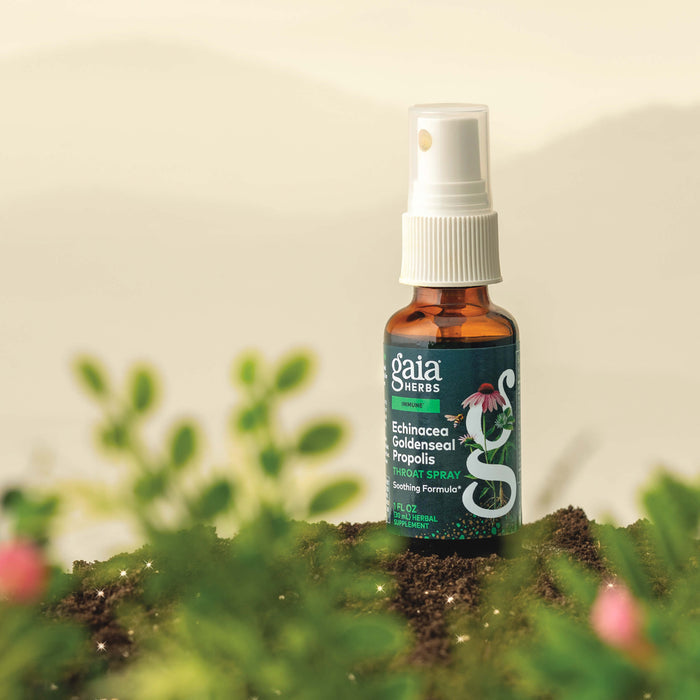 Gaia Herbs Echinacea Goldenseal Propolis one ounce spray bottle on a natural background with plants.