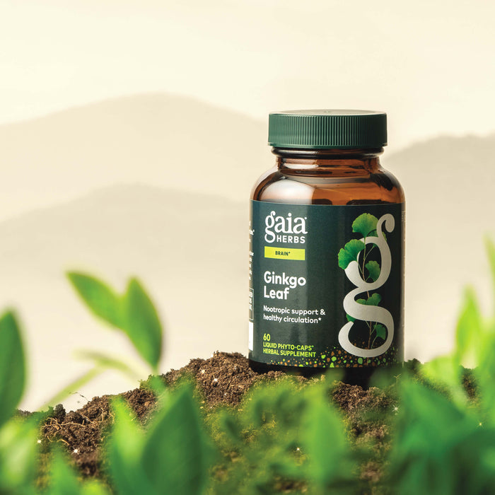 Gaia Herbs Ginkgo Leaf 60 count supplement bottle in a natural setting with plants.