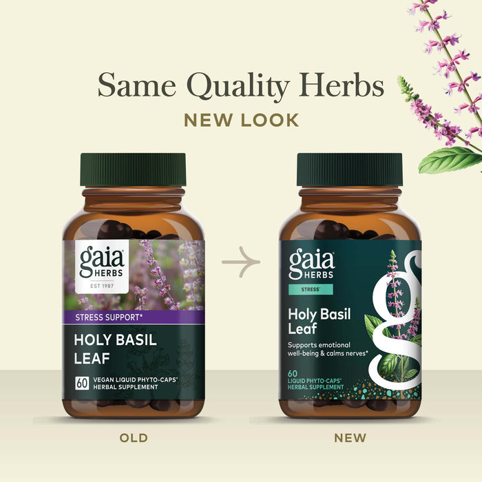Holy Basil 60 count Old Label Versus New Label Comparison