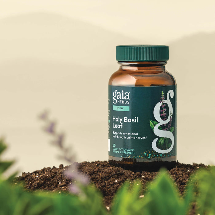 Gaia Herbs Holy Basil Leaf 60 count supplement bottle on a natural background with plants.
