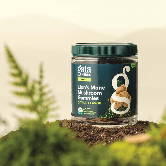 Gaia Herbs Lion's Mane Mushroom Gummies 60 count bottle on a natural background with plants.