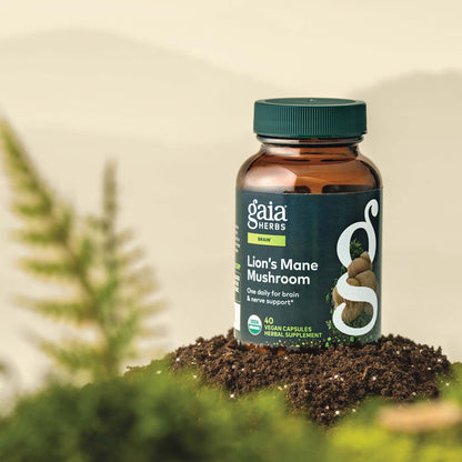 Gaia Herbs Lion's Mane Mushroom 40 count supplement bottle on a natural background with plants.