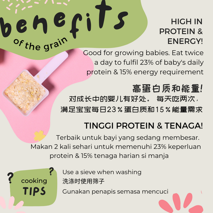 Little Baby Grains Basic Range