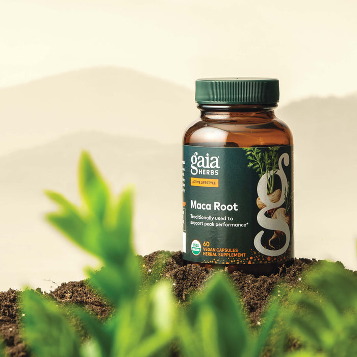 Gaia Herbs Maca Root 60 count supplement bottle with plants in the foreground