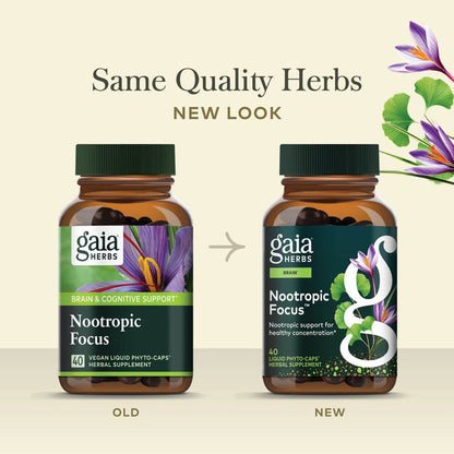 Nootropic Focus 40 count Old Label Versus New Label Comparison