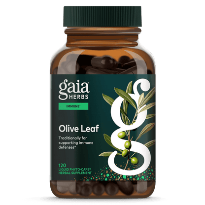 Gaia Herbs Olive Leaf for Immune Support || 120 ct