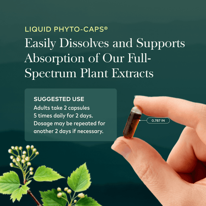 Gaia Herbs Quick Defense for Immune Support || 20 ct Suggested Use