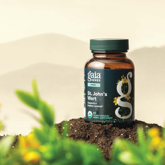 Gaia Herbs St. John's Wort 60 count supplement bottle with greenery in the foreground