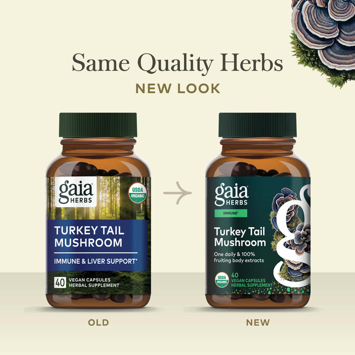 Turkey Tail Mushroom 40 count Old Label Versus New Label Comparison