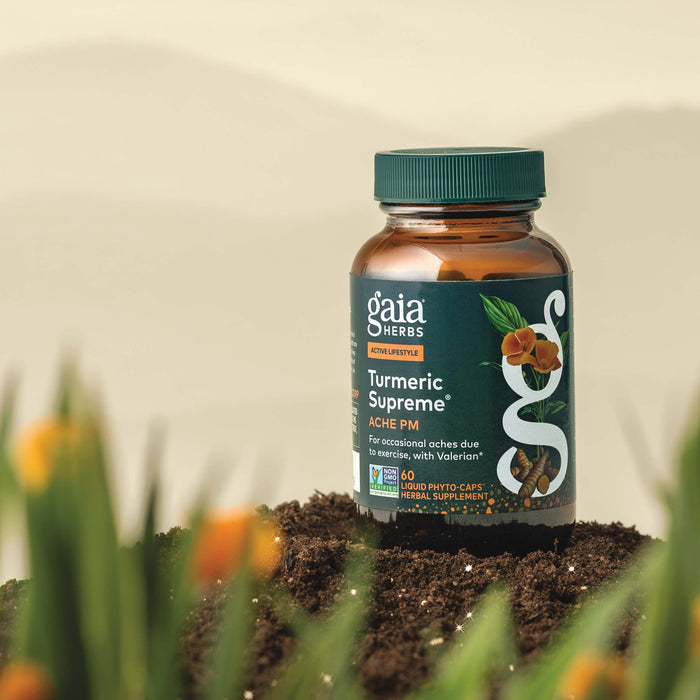 Gaia Herbs Turmeric Supreme Ache PM 60 count supplement bottle on a natural background with plants.