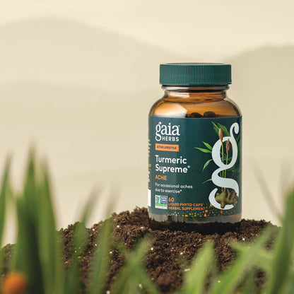 Gaia Herbs Turmeric Supreme Ache 60 count supplement bottle on a natural background with plants.