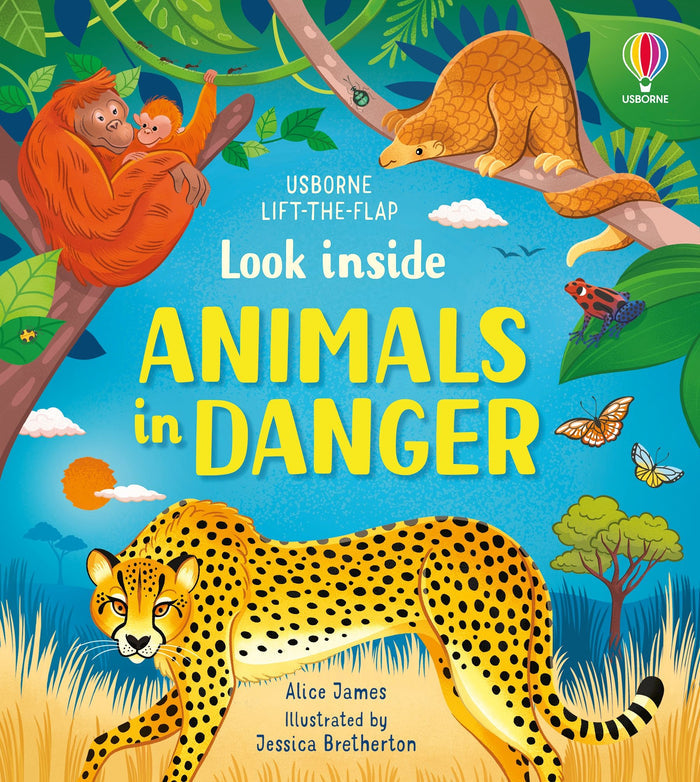 Usborne Look Inside