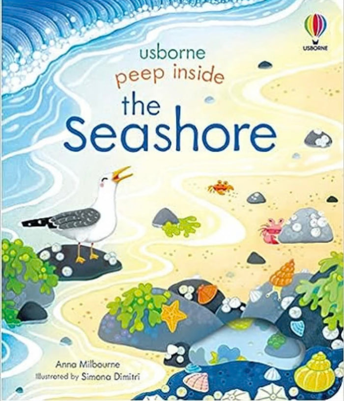 Peep Inside the Seashore