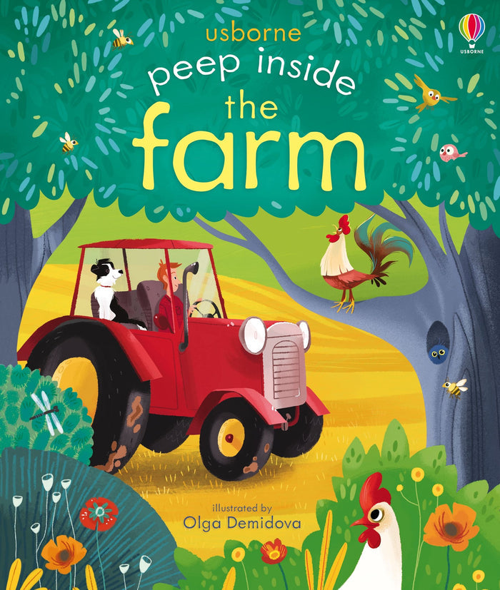 Usborne Peep Inside