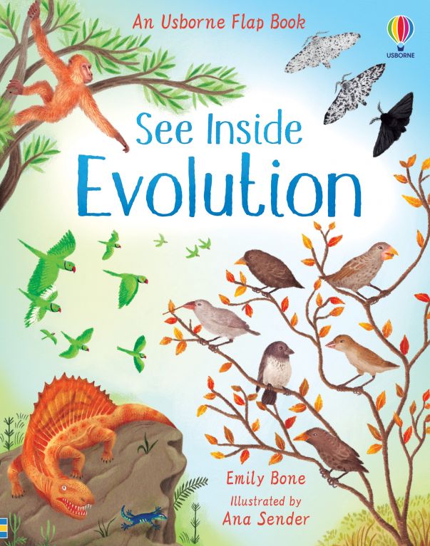 Usborne See Inside